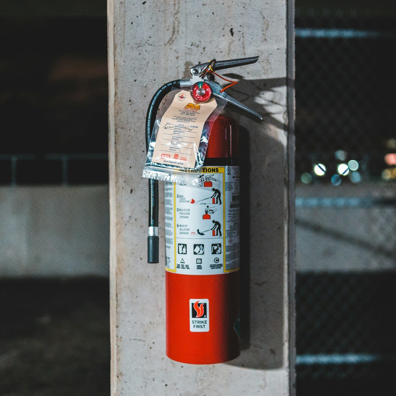 erik-mclean--loCA-0LGQc-unsplash